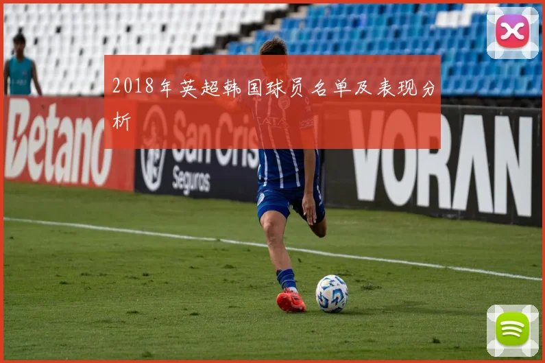 2018年英超韩国球员名单及表现分析