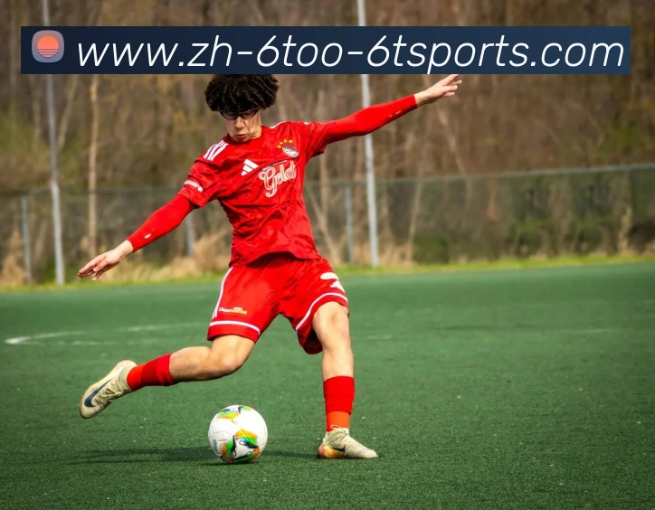 6T体育平台生态图